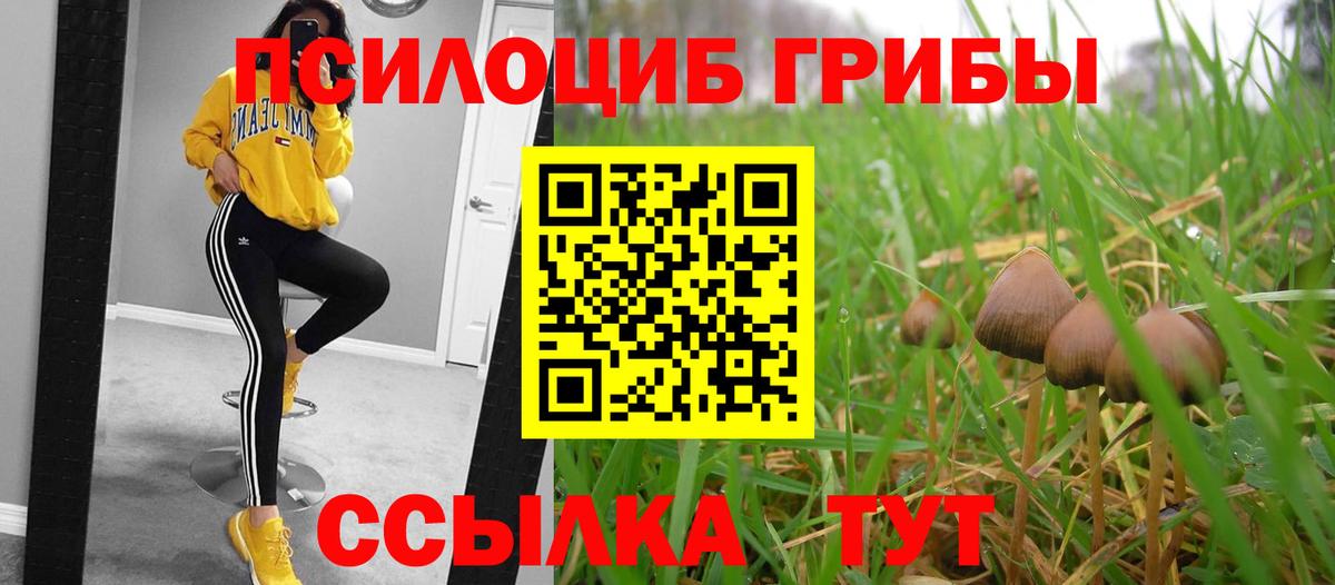 Псилоцибиновые грибы Psilocybe  Псилоцибиновые грибы GOLDEN TEACHER  Джанкой  Вход с VPN 